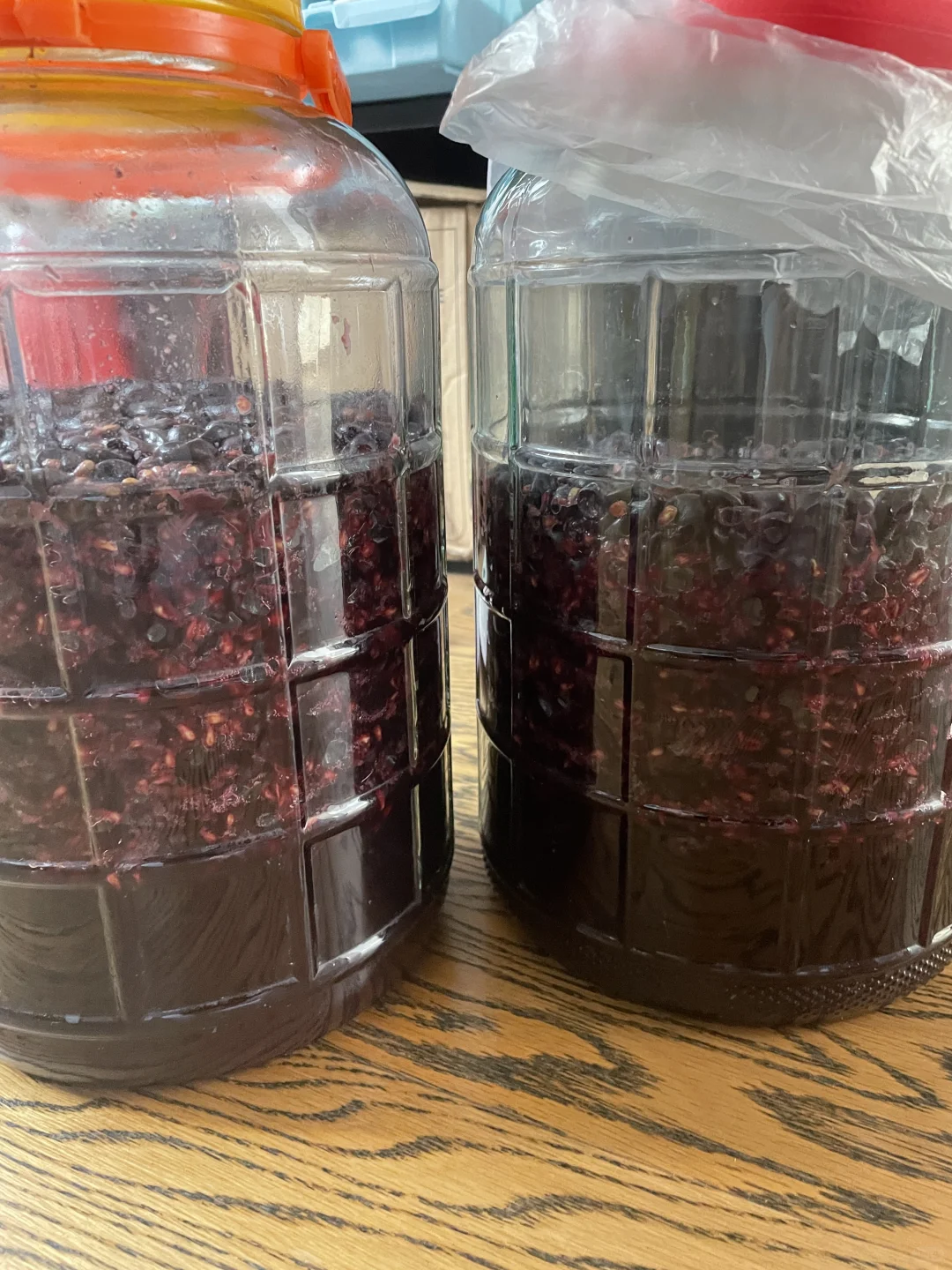 家庭版自制葡萄酒开喝了～