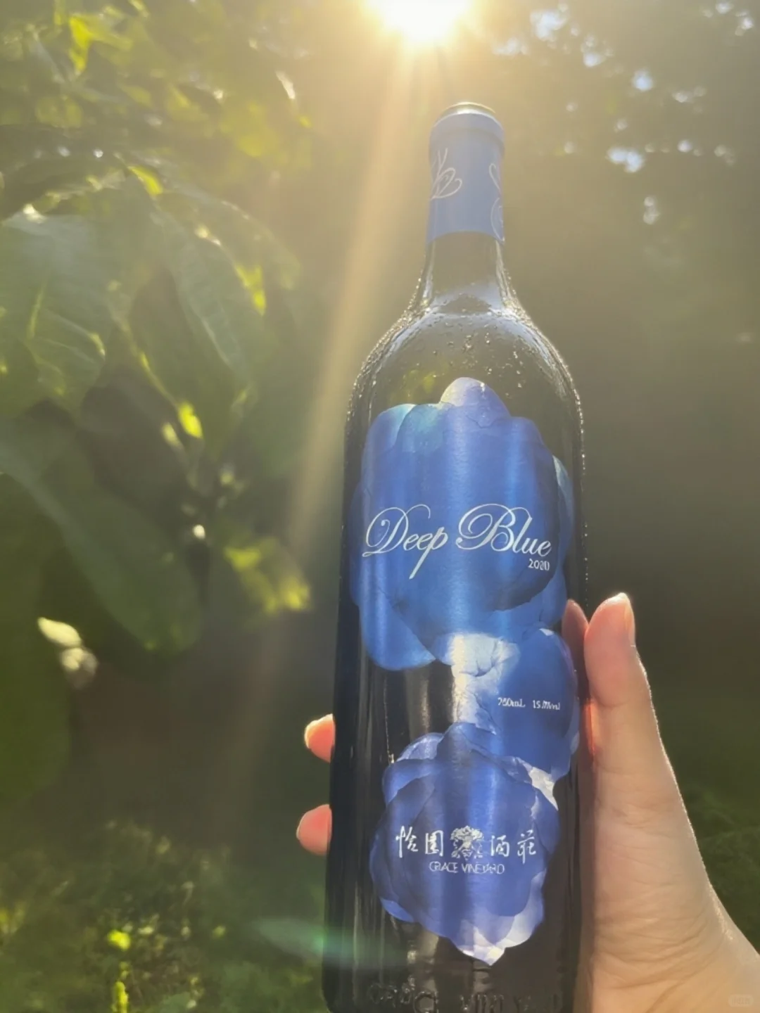 适合独酌也适合畅谈的红葡萄酒