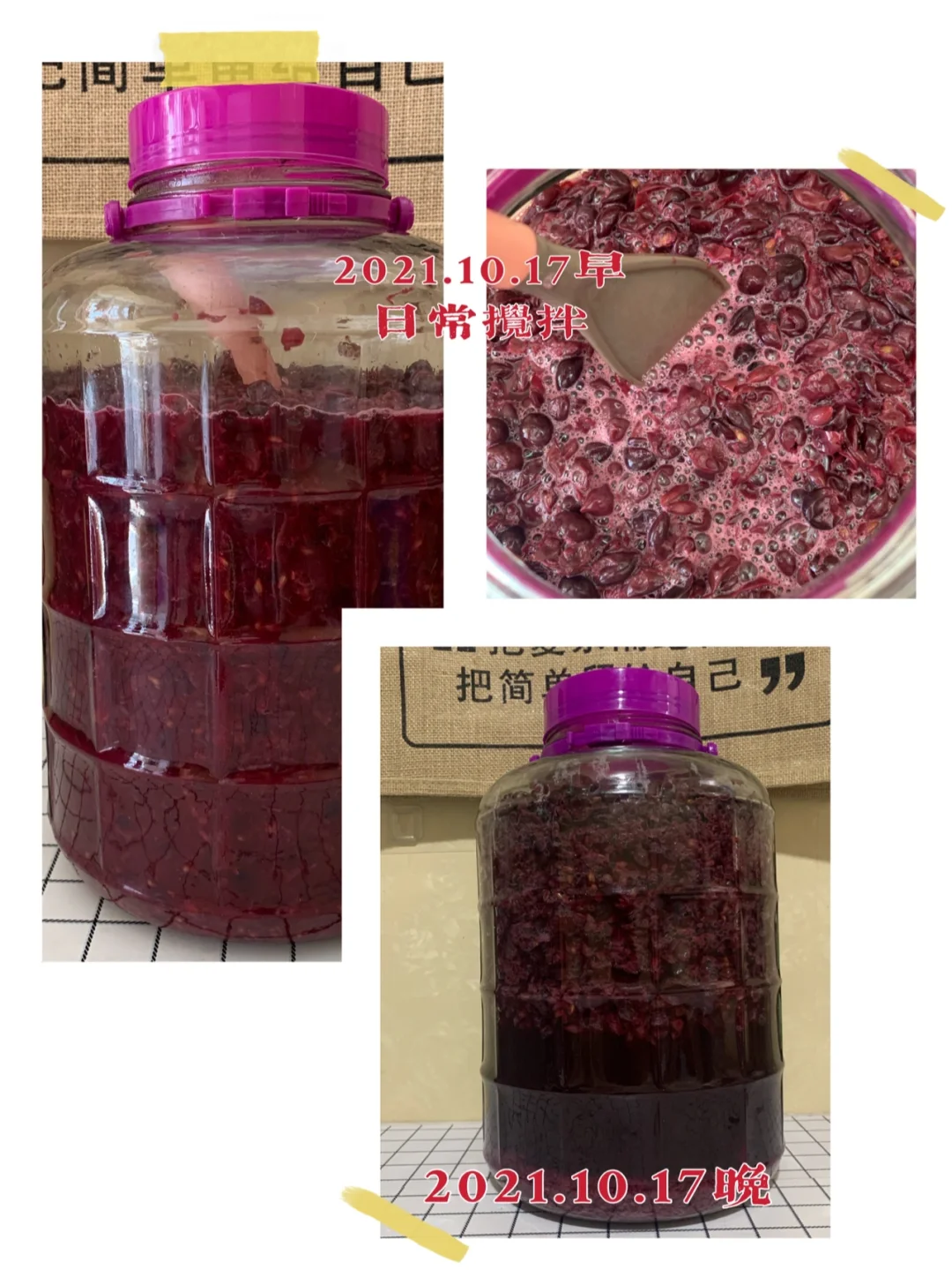 第二年挑战自制葡萄酒?