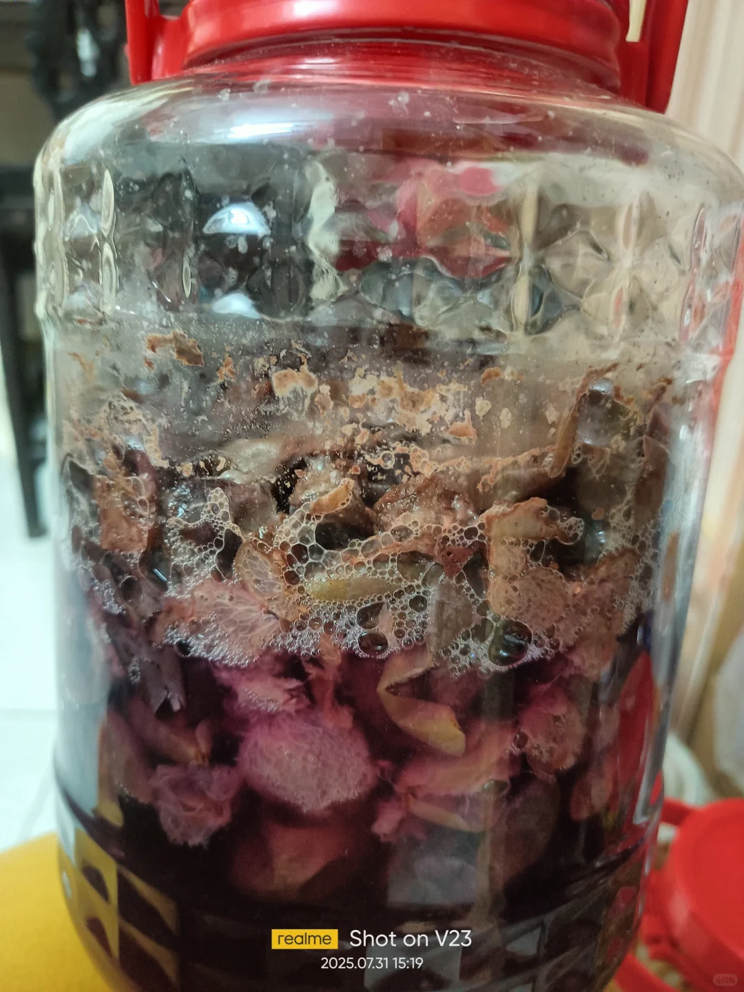 自酿葡萄酒超详细记录！4斤自酿葡萄酒超详