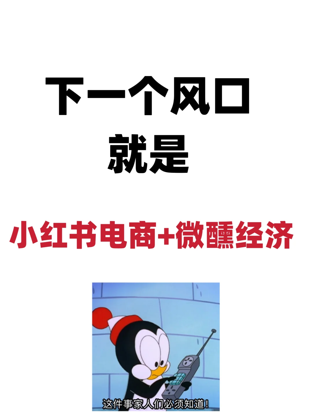 发现一个小红书的宝藏赛道！?低度酒！