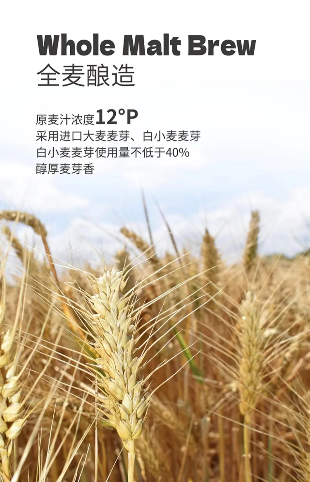 ✨胖东来啤酒罐装上线，值得试试！