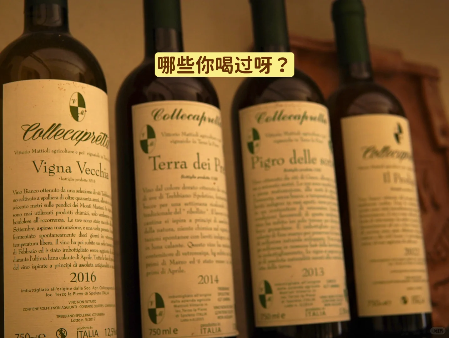 葡萄酒人又去酒庄蹭吃蹭喝了