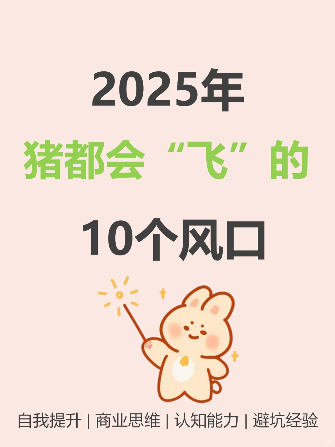 2025年，猪都可以起飞的十个风口???