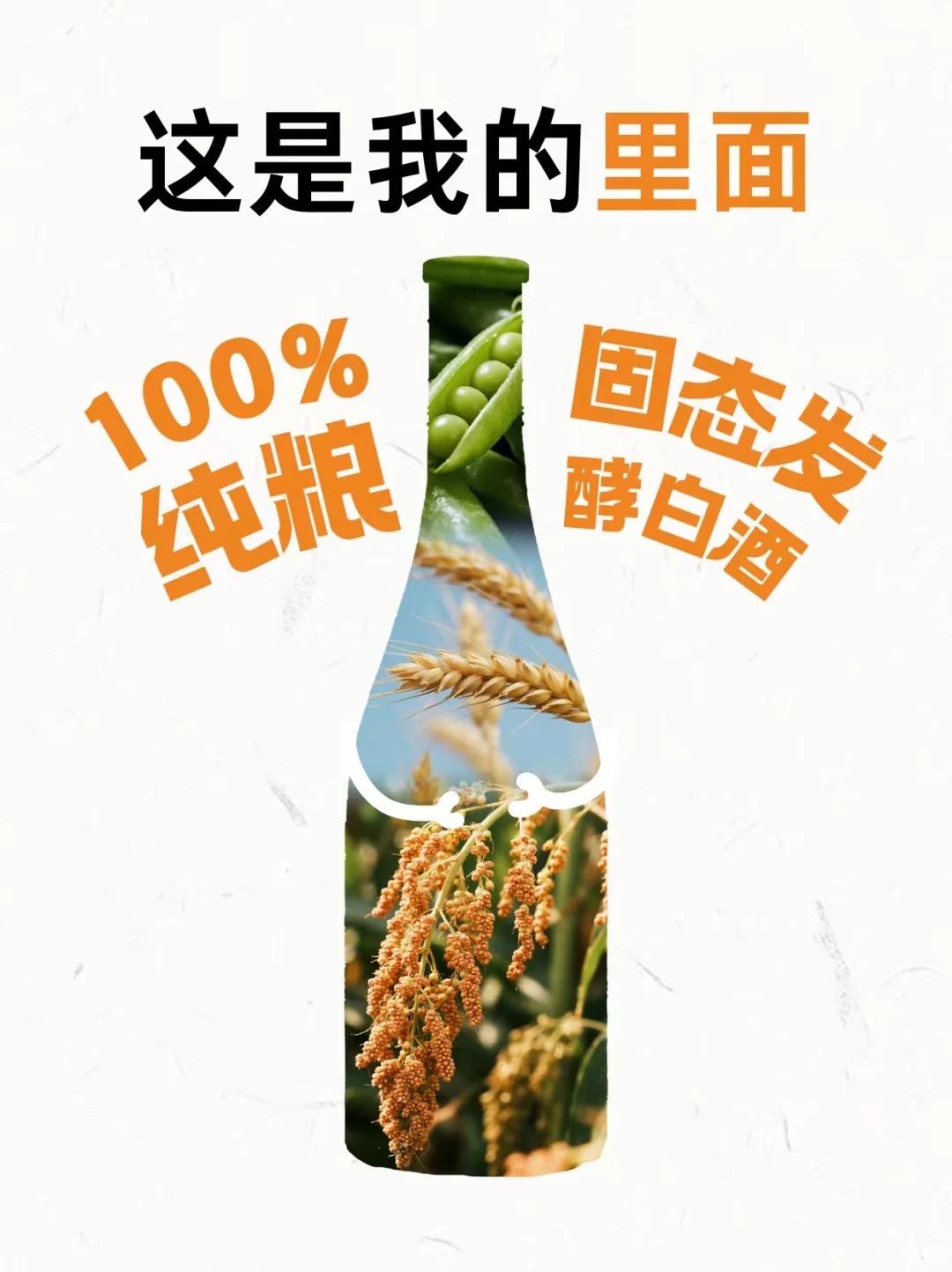 【内含?】多乐囤白酒の社牛开场白