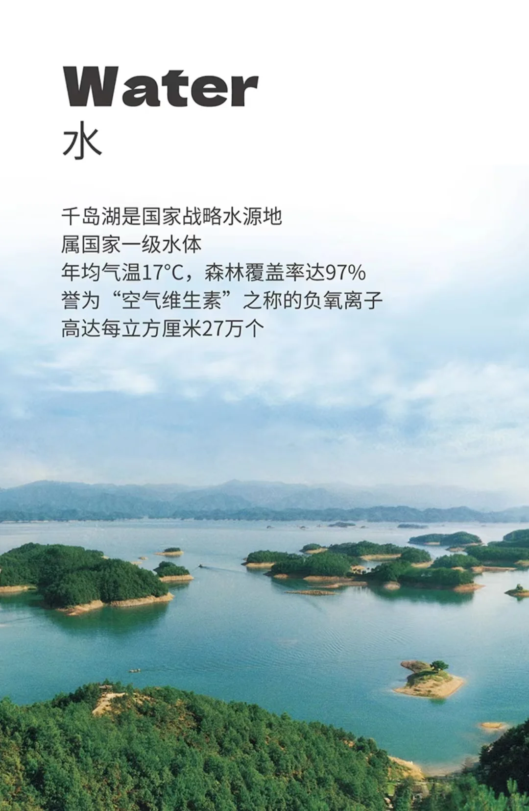 ✨胖东来啤酒罐装上线，值得试试！