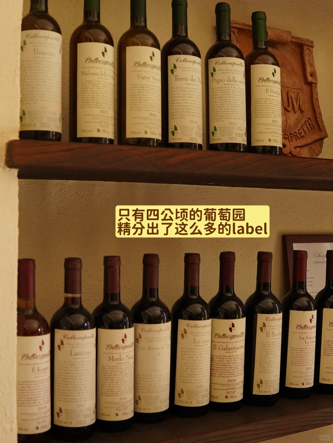 葡萄酒人又去酒庄蹭吃蹭喝了