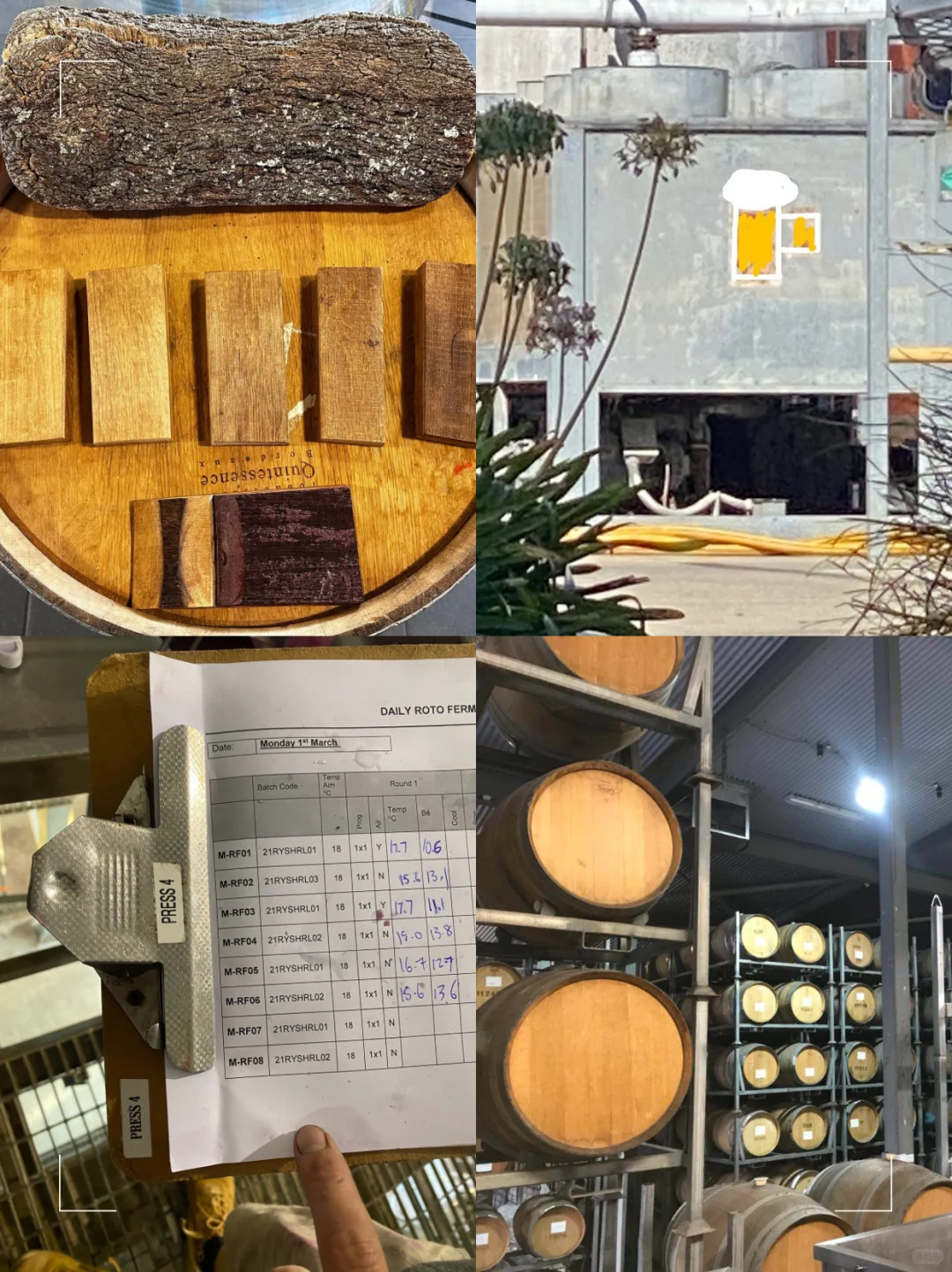 什么？一个95后竟然入行葡萄酒20年？ ?