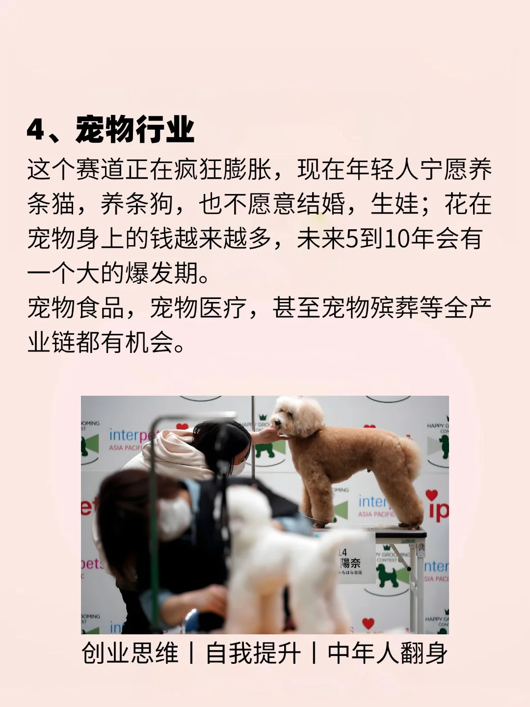 2025年很挣钱的4个赛道、创业思维、自我提