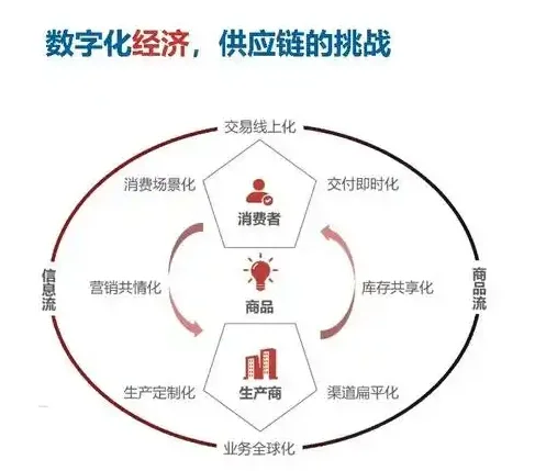 数字化供应链：企业转型与发展的关键驱动力