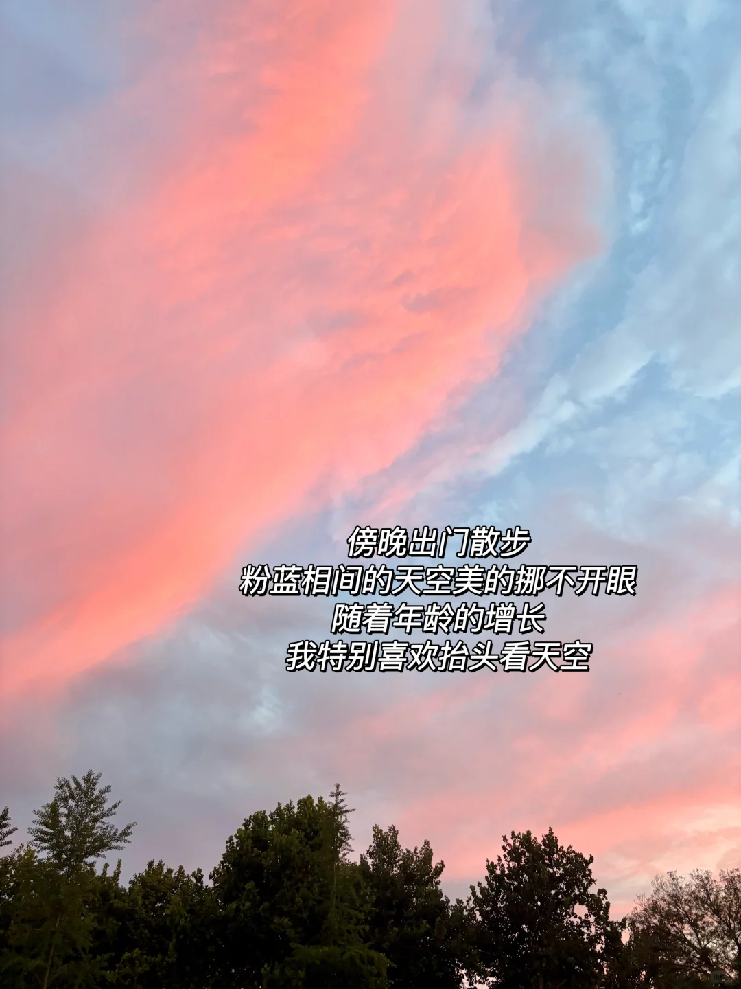 夏日微醺仪式：一杯冰爽果酒，一扫盛夏的疲惫