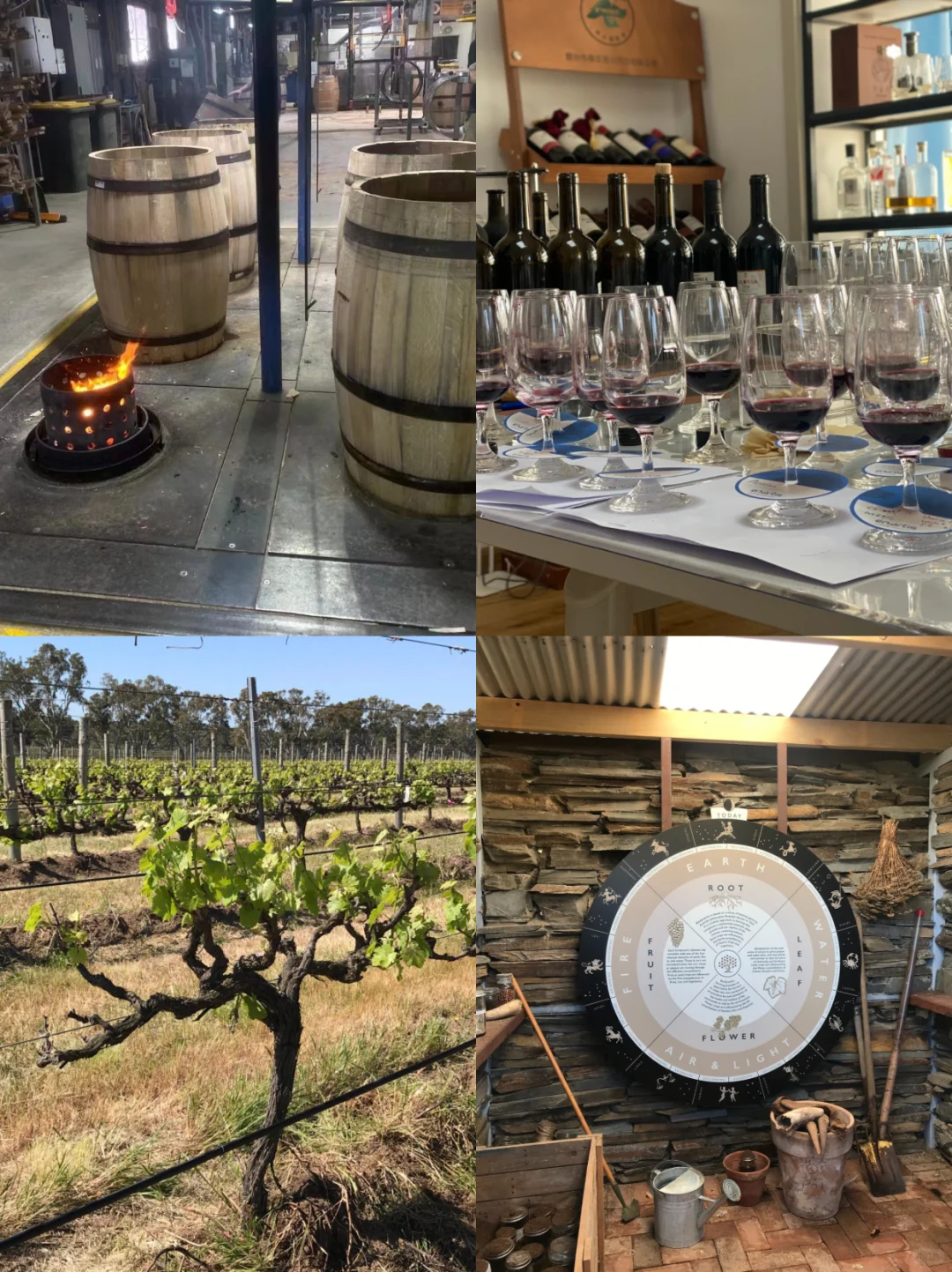 什么？一个95后竟然入行葡萄酒20年？ ?