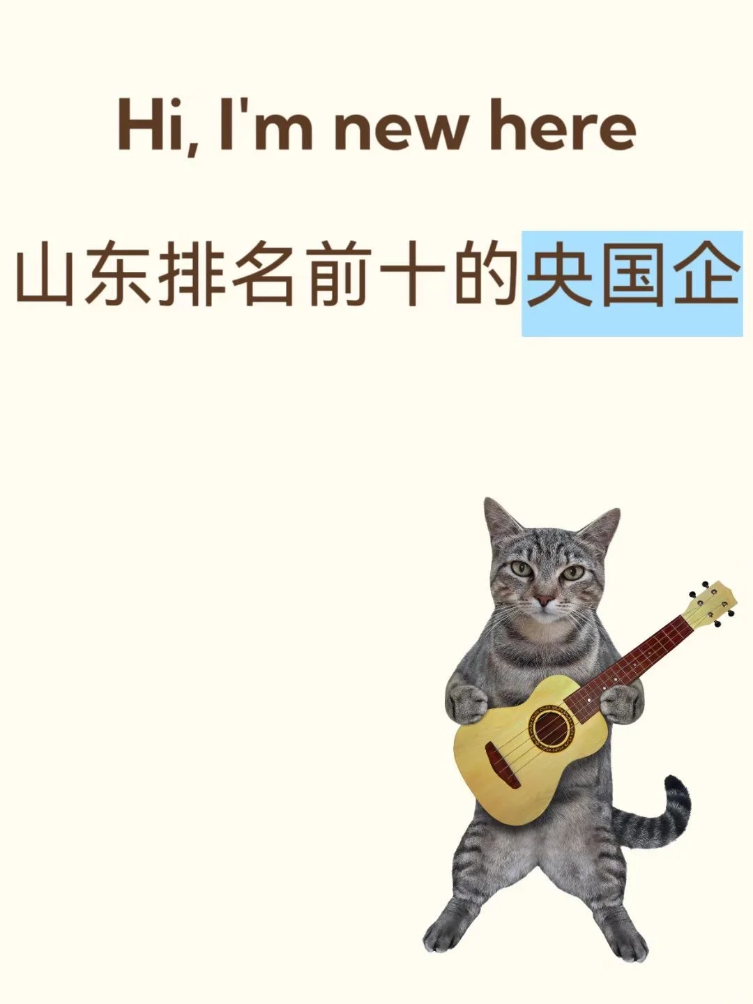 山东排名前十的央国企