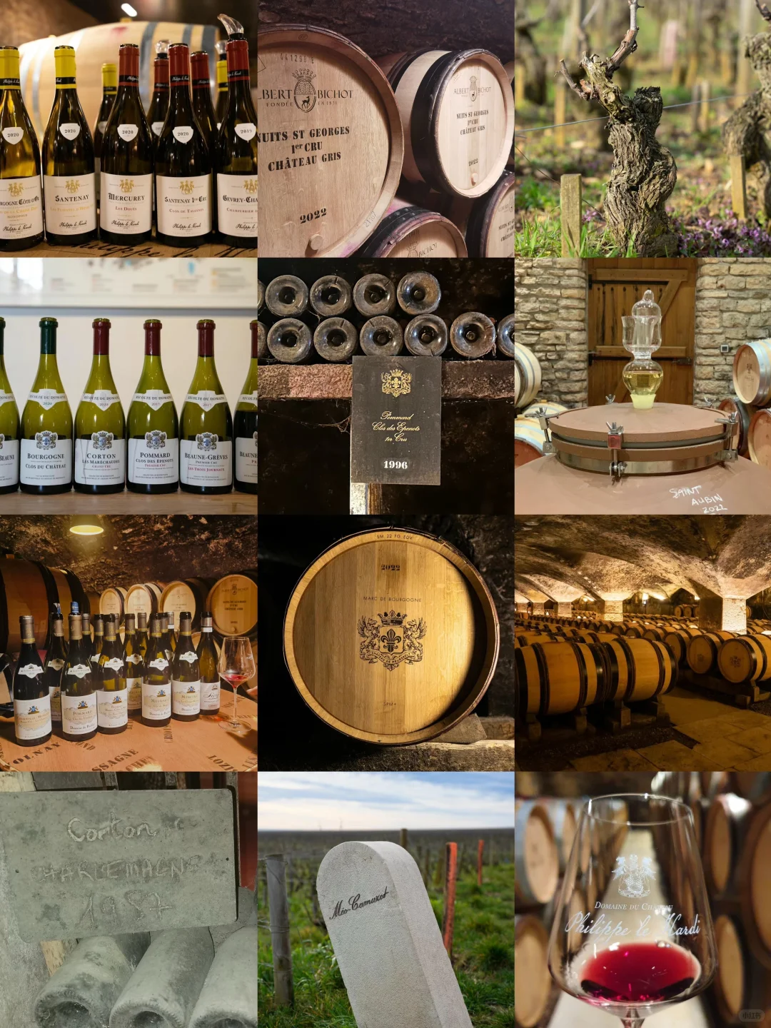 什么？一个95后竟然入行葡萄酒20年？ ?