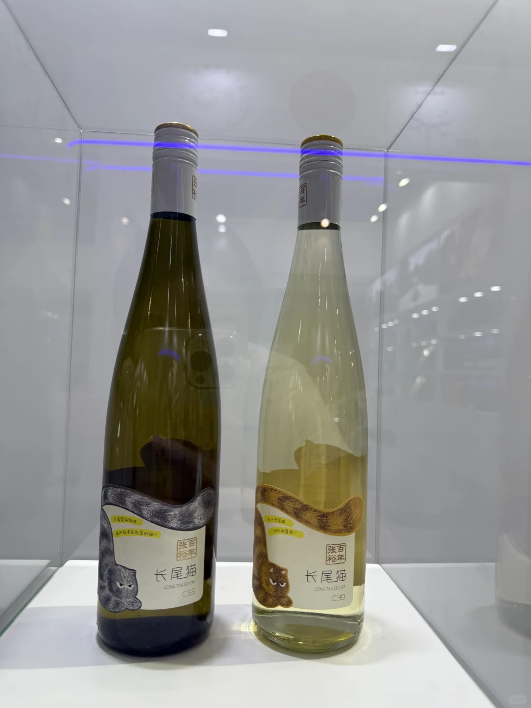 连续3天，宁夏葡萄酒会喝开心了?