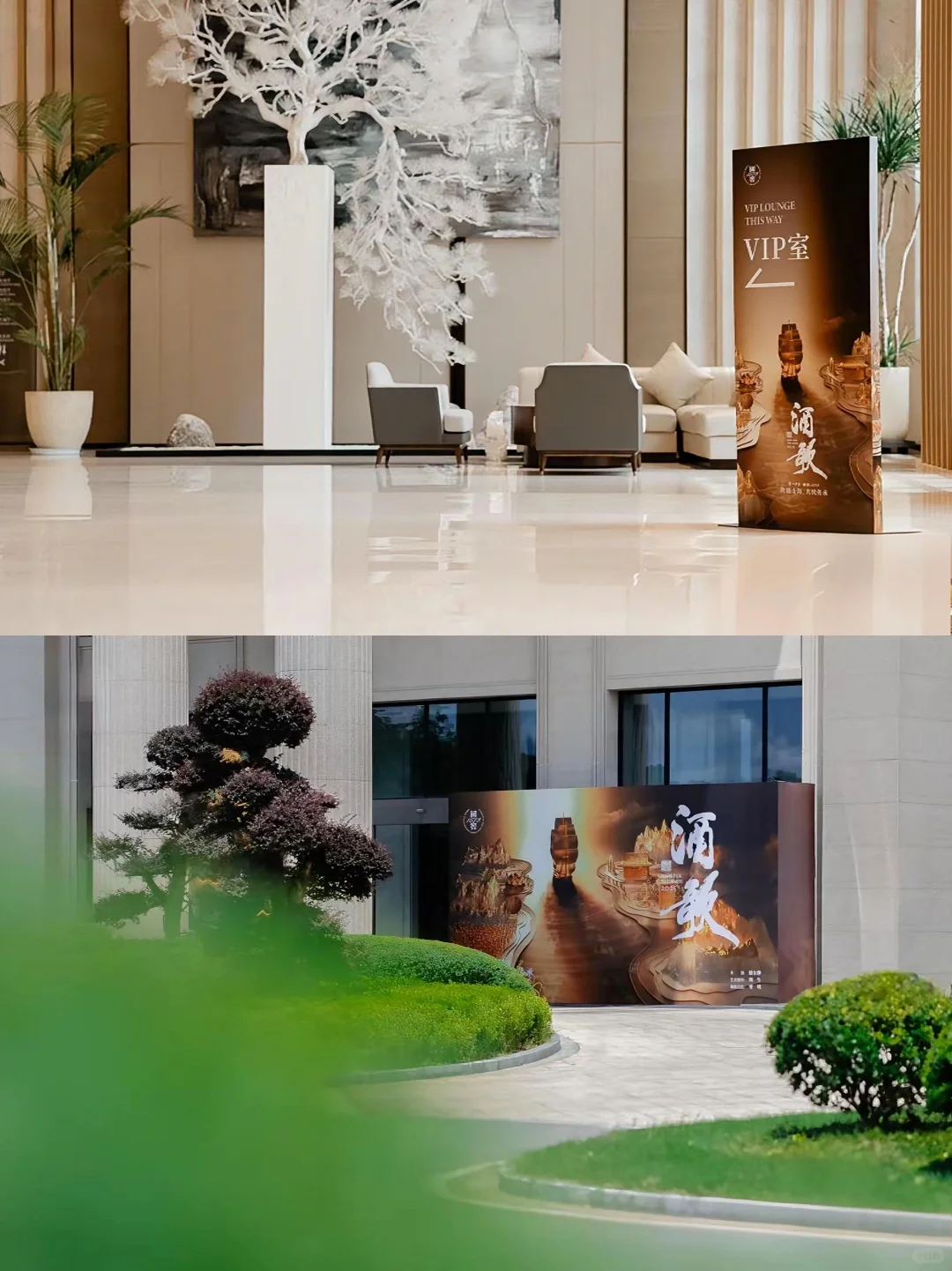 国窖1573&隐龙谷 | 时光酿就的山水之宴?