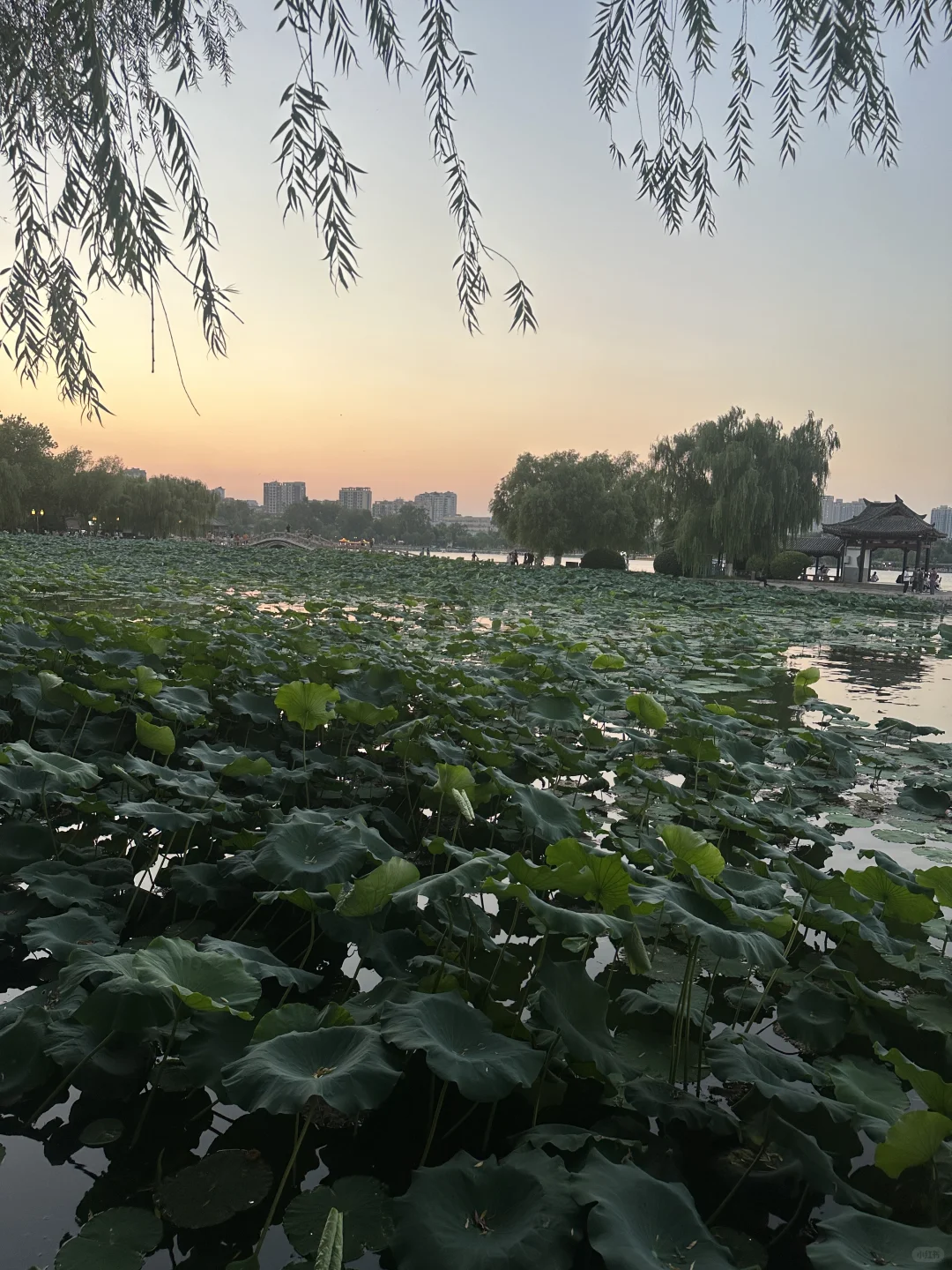 4天中酒展会圆满结束