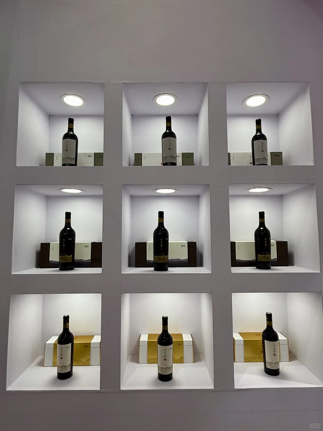 连续3天，宁夏葡萄酒会喝开心了?