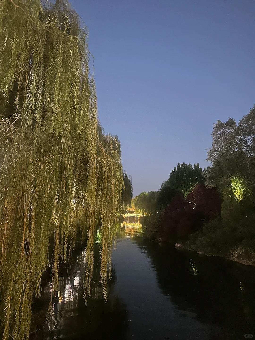 4天中酒展会圆满结束