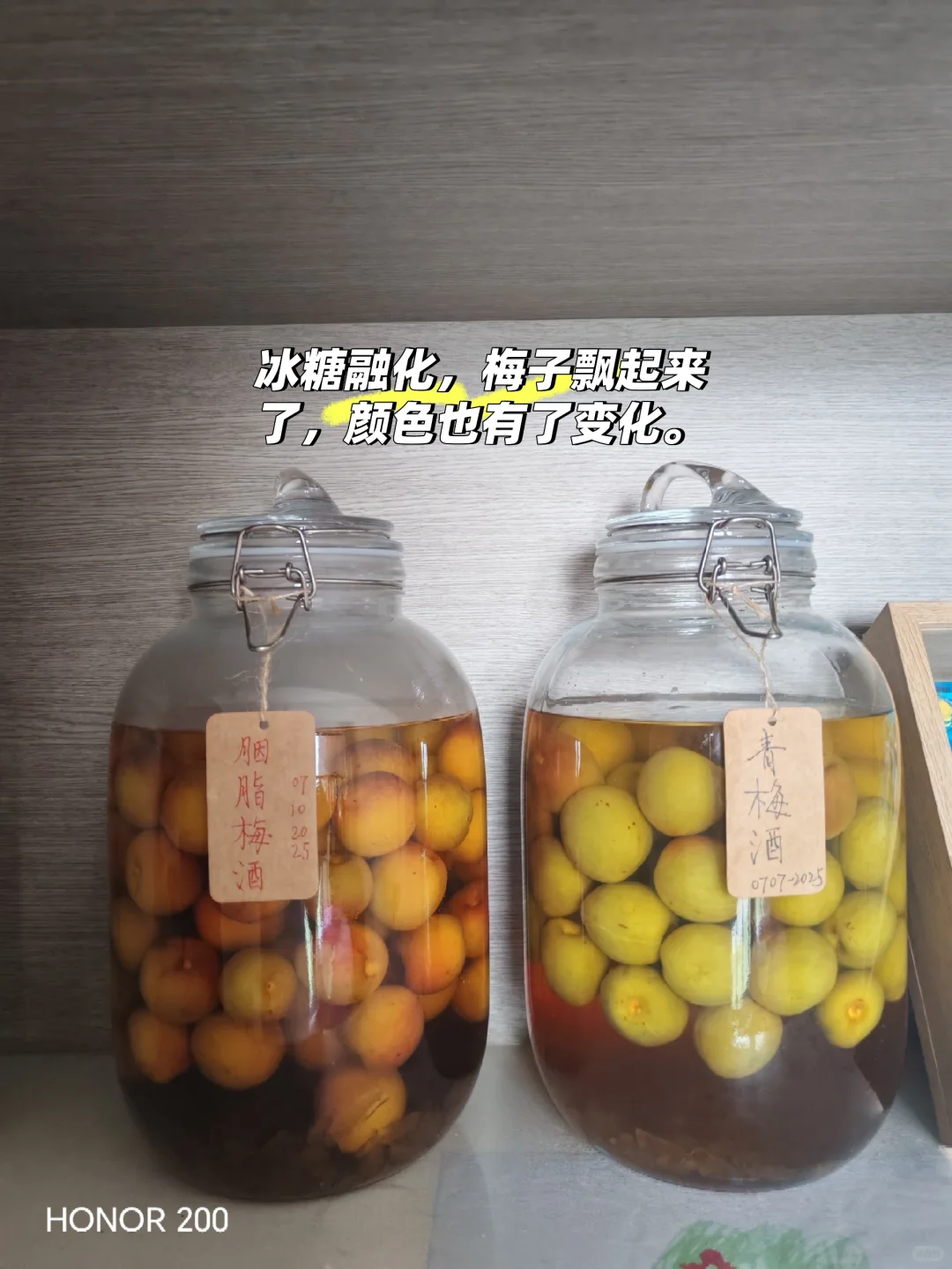 梅好期待