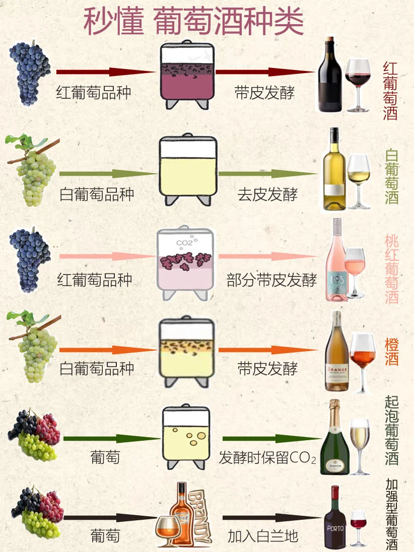 ? 30秒了解葡萄酒的种类！?