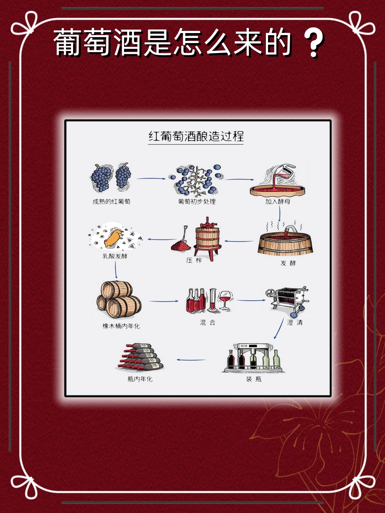 红酒小知识‼️红酒酿造全过程❗