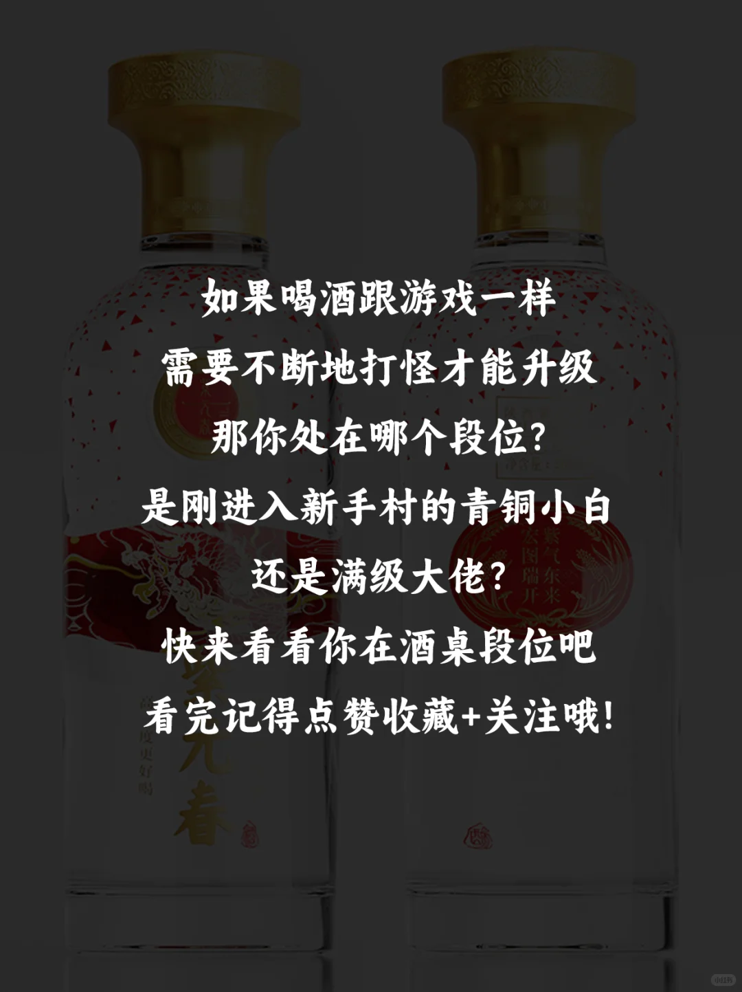 假如喝酒也有段位，你是什么段位？