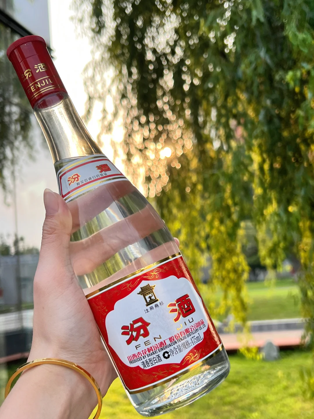 白酒劝退到 天天想喝，红盖汾真的救了我！