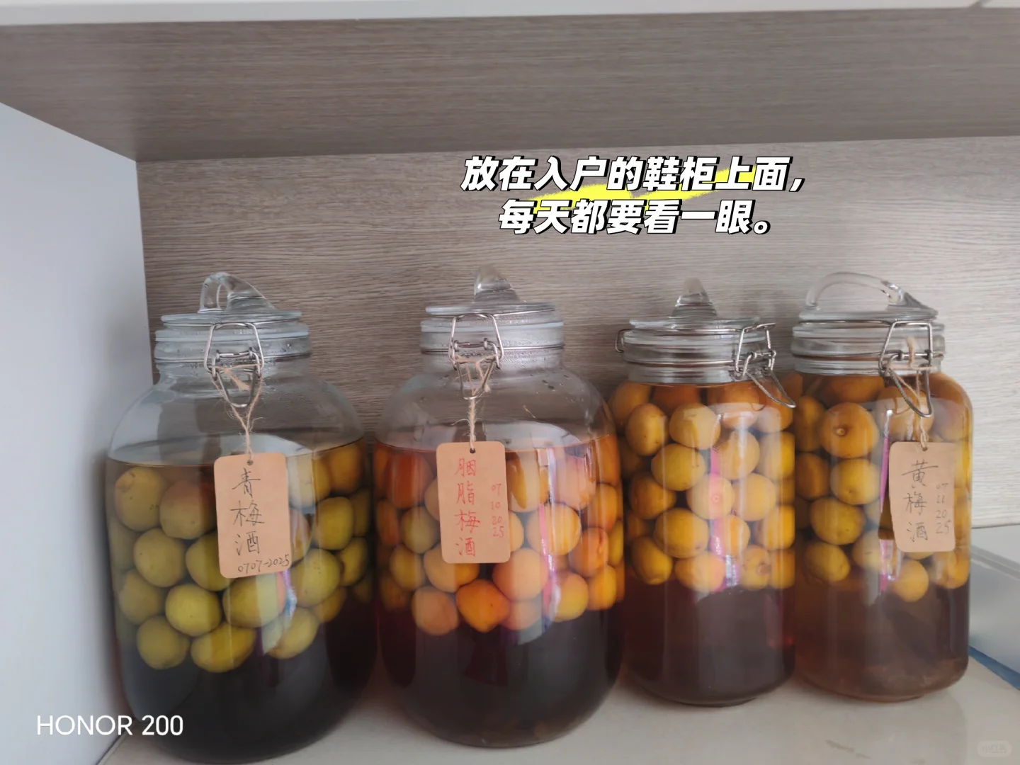 梅好期待