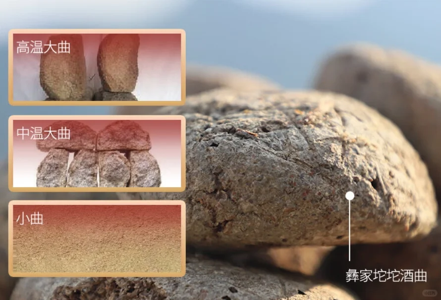 1分钟了解“清酱香型”