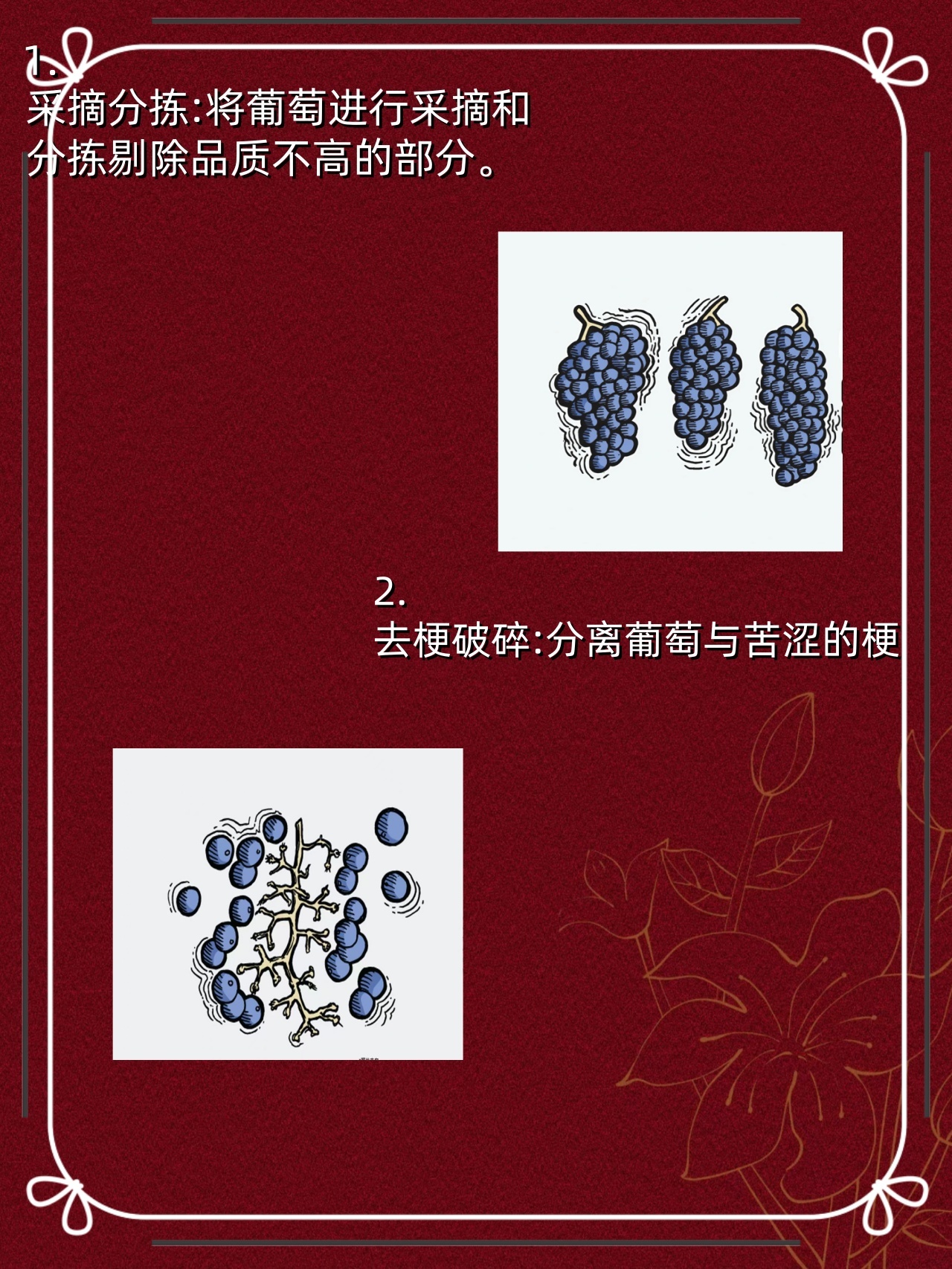 红酒小知识‼️红酒酿造全过程❗