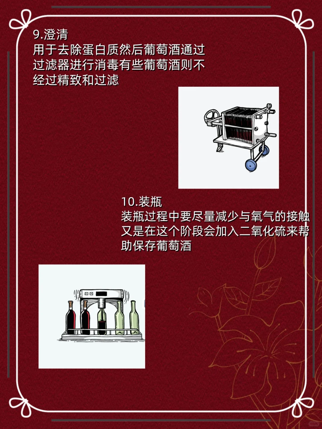 红酒小知识‼️红酒酿造全过程❗