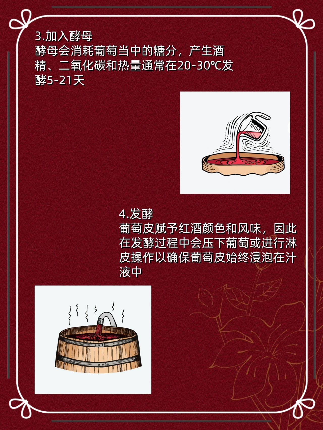 红酒小知识‼️红酒酿造全过程❗