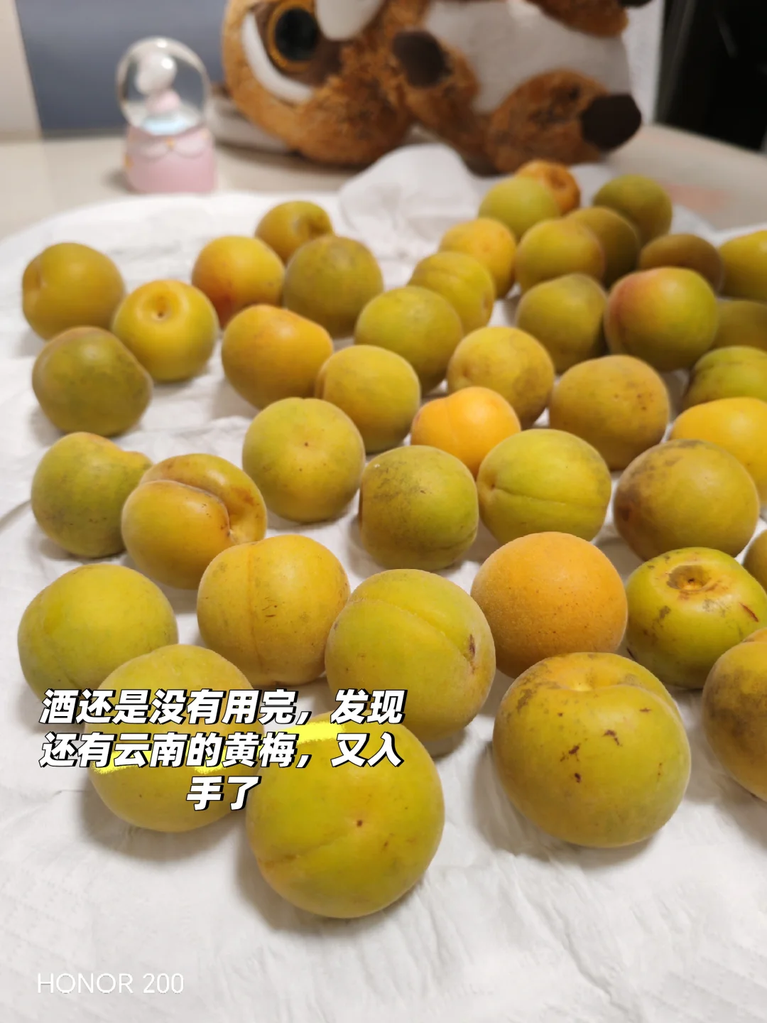 梅好期待
