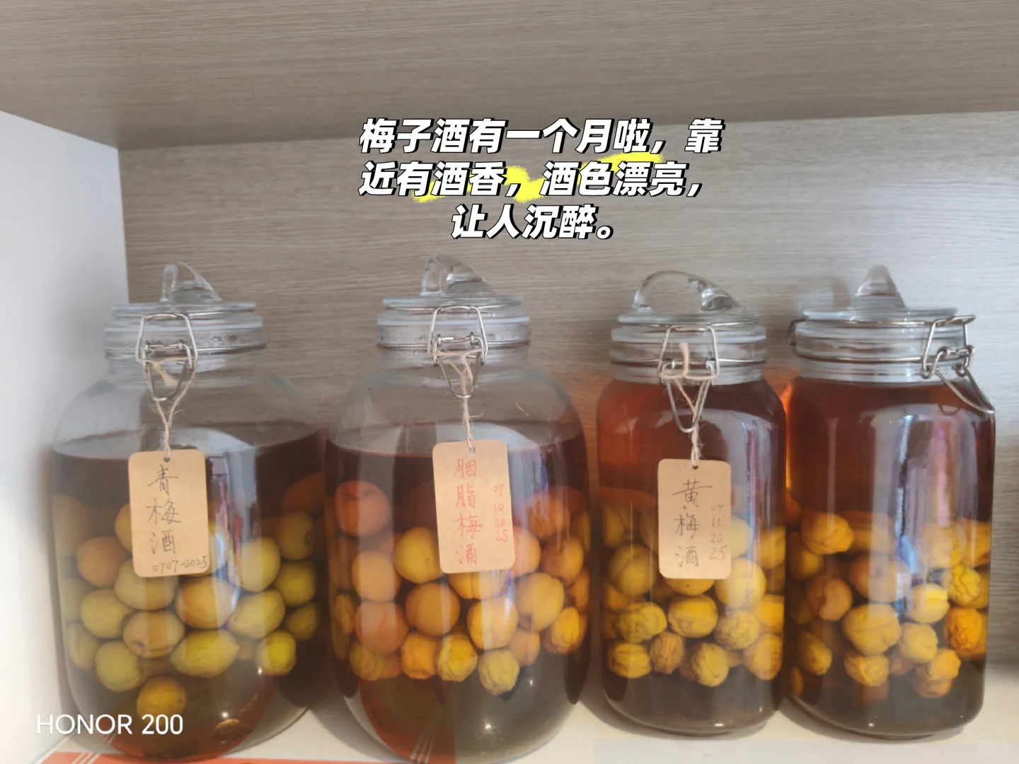 梅好期待