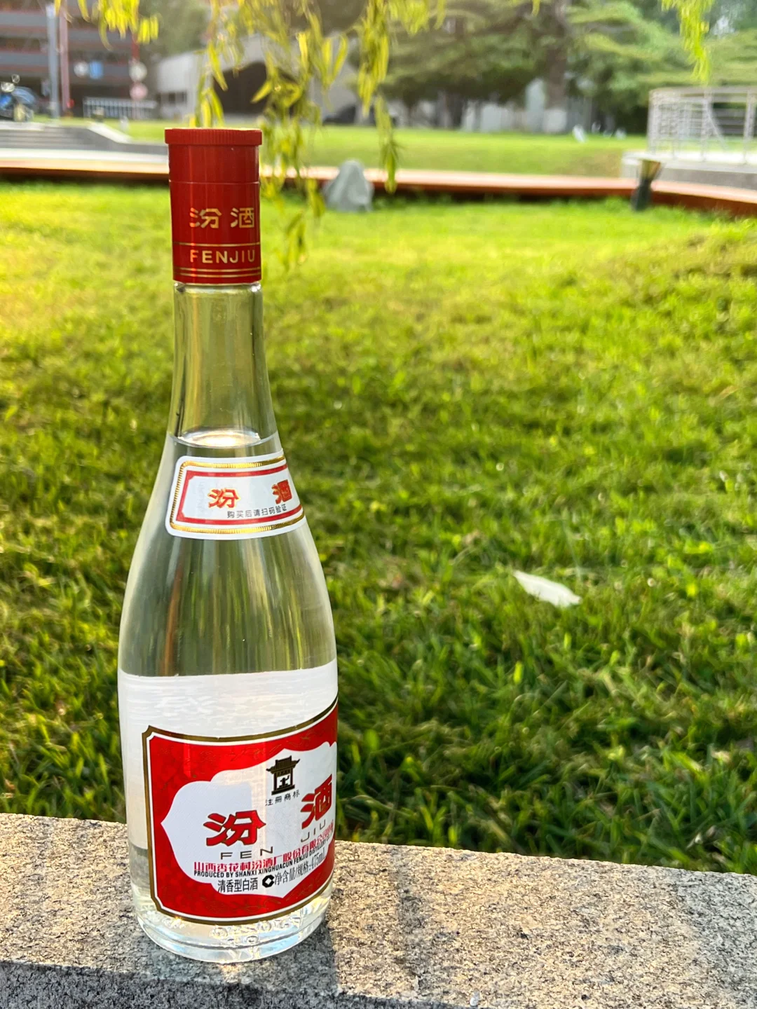 白酒劝退到 天天想喝，红盖汾真的救了我！