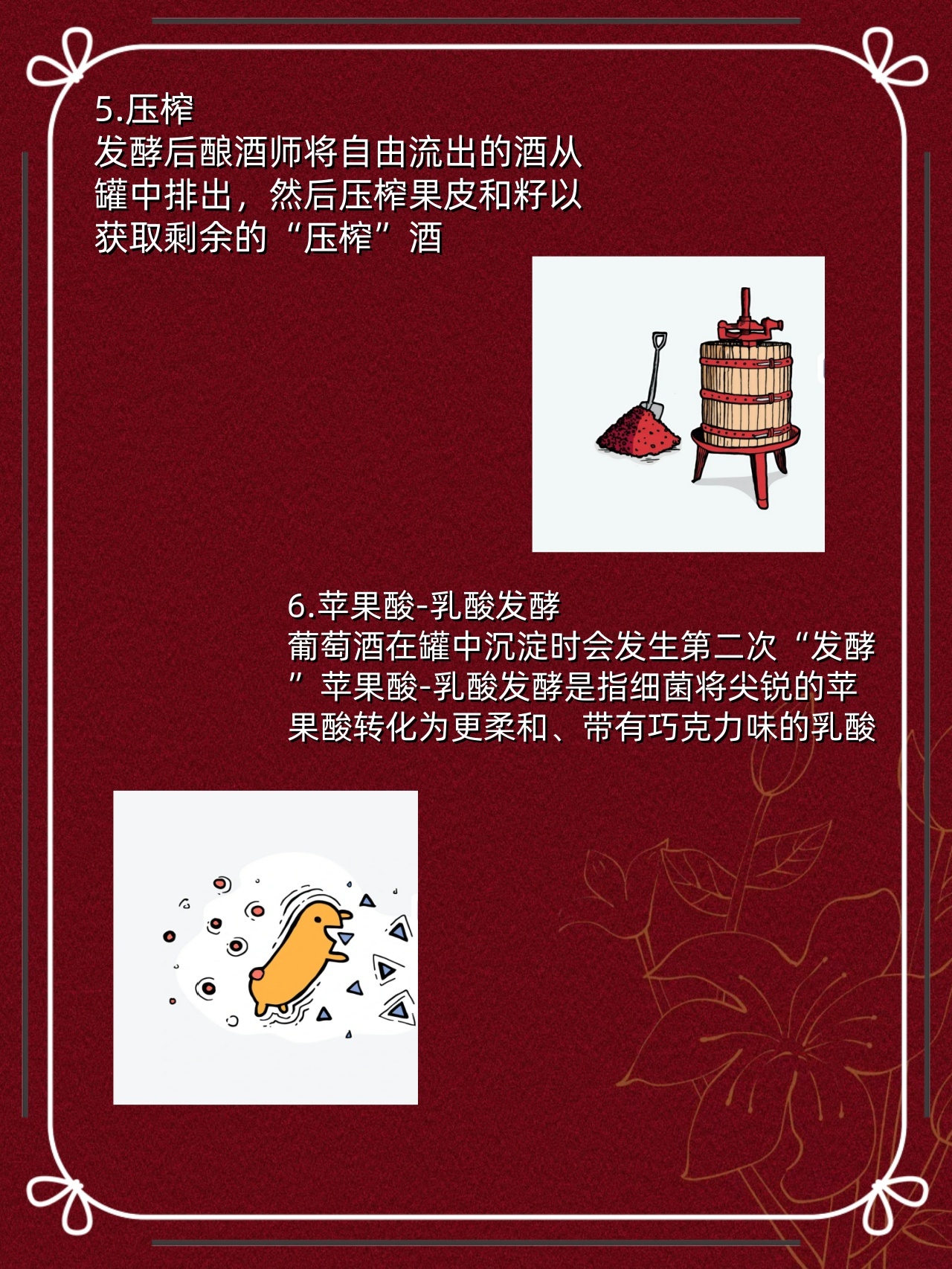 红酒小知识‼️红酒酿造全过程❗