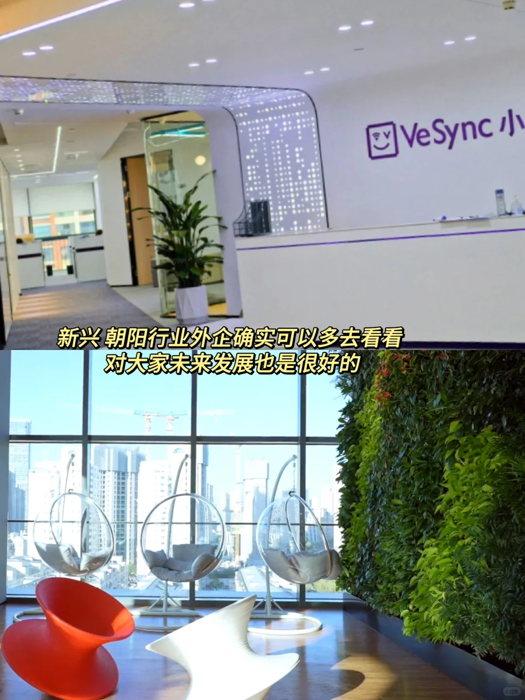 年后找工作，建议从朝阳、新兴行业外企开始