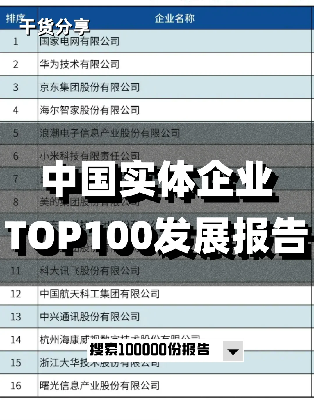 中国实体企业TOP100发展报告