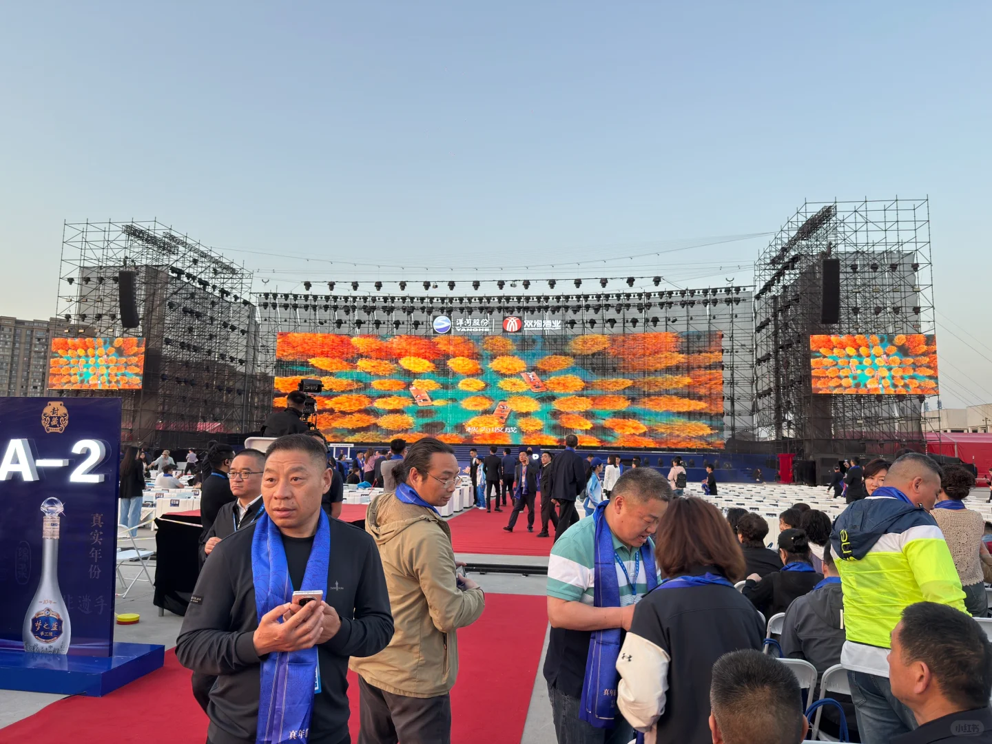 2025洋河股份第十二届封藏大典马上开始