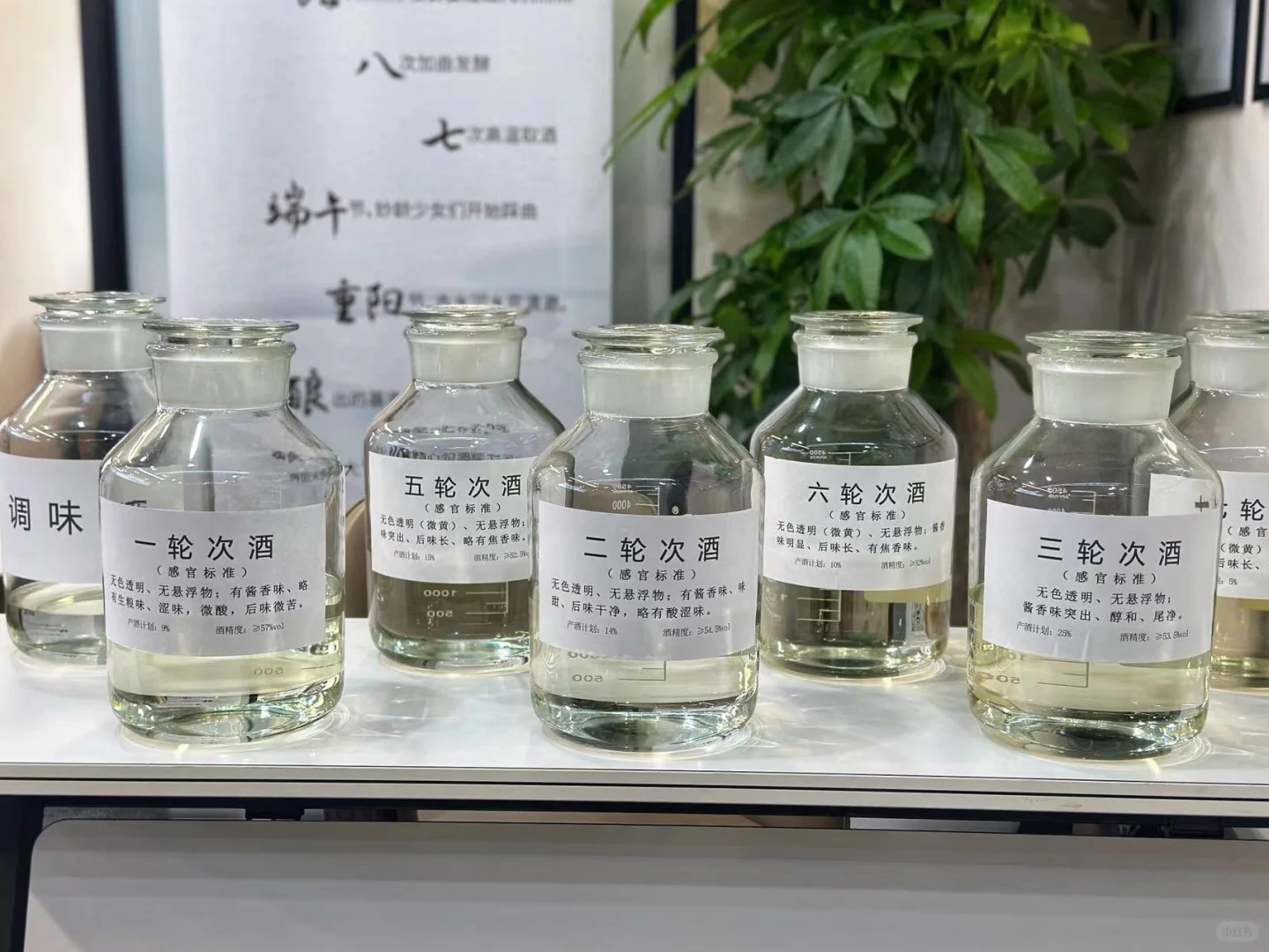 喝过就忘不了！酱香白酒 7 个轮次酒！