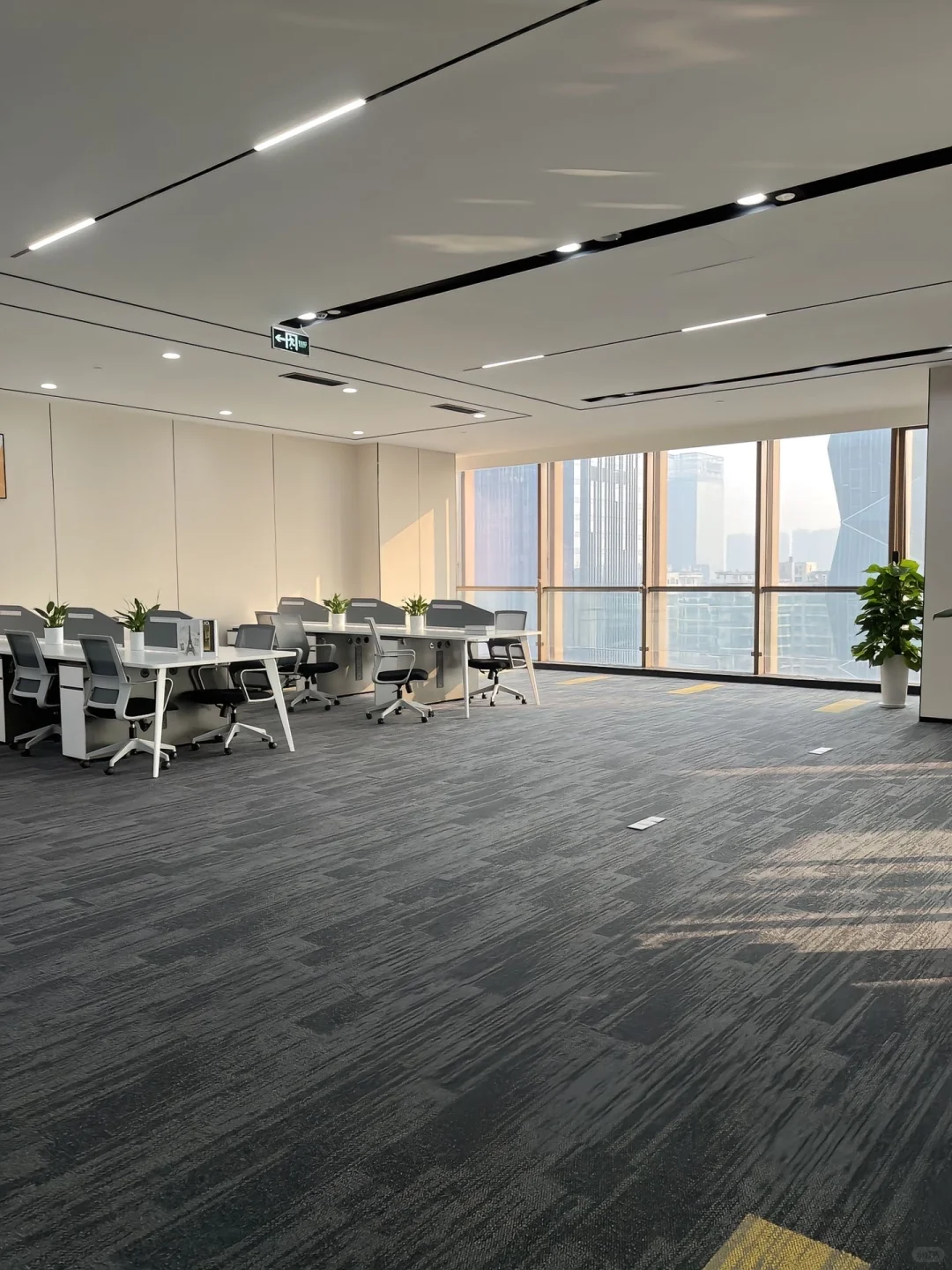 00后在浙江开个新公司，天哪，竟然招不到啊！