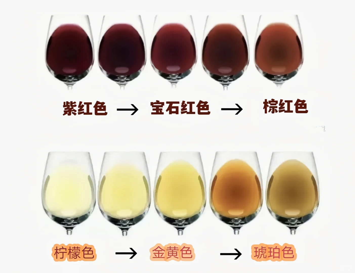 教你一秒判断葡萄酒是否变质！