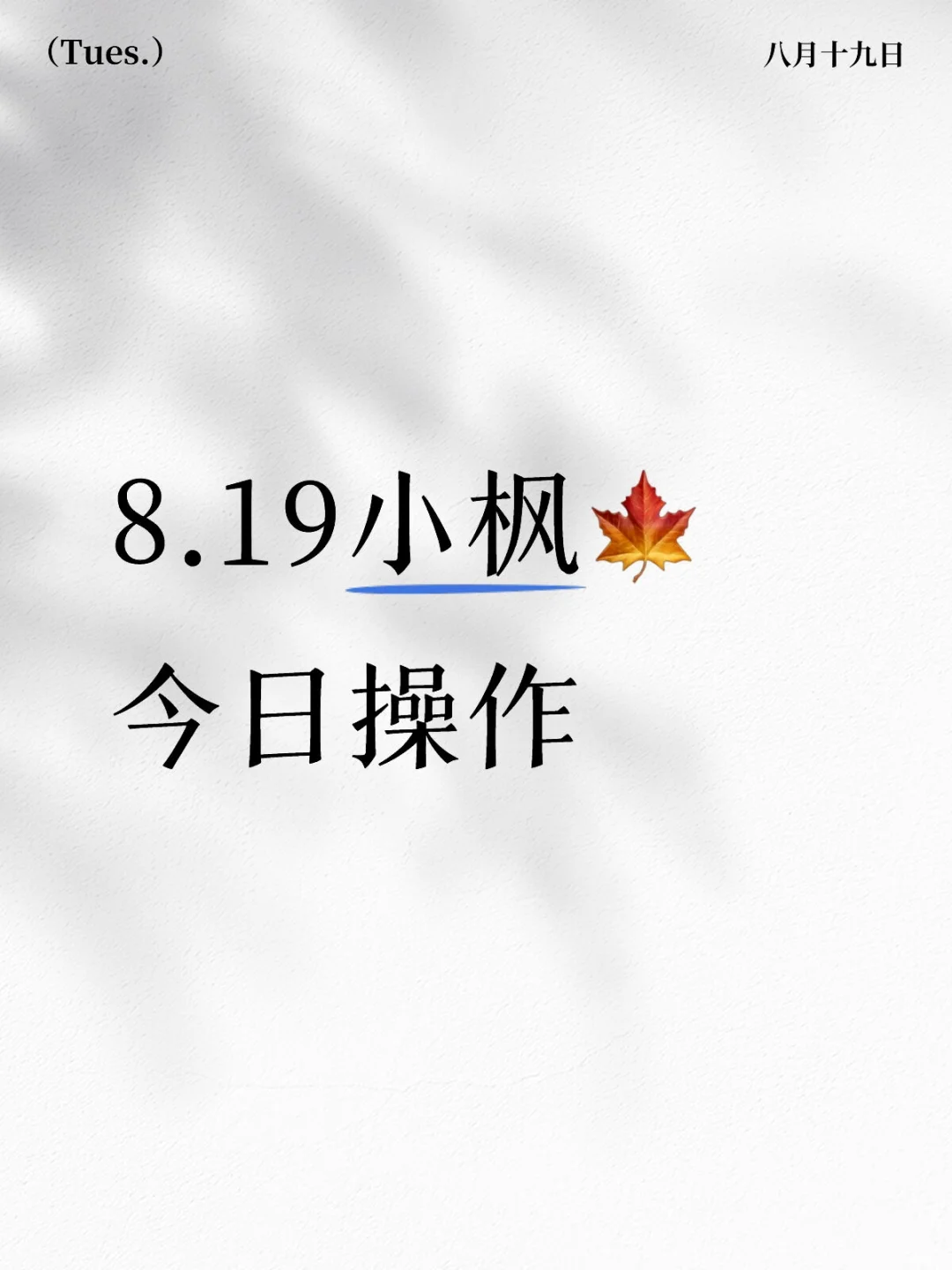 8.19｜操作