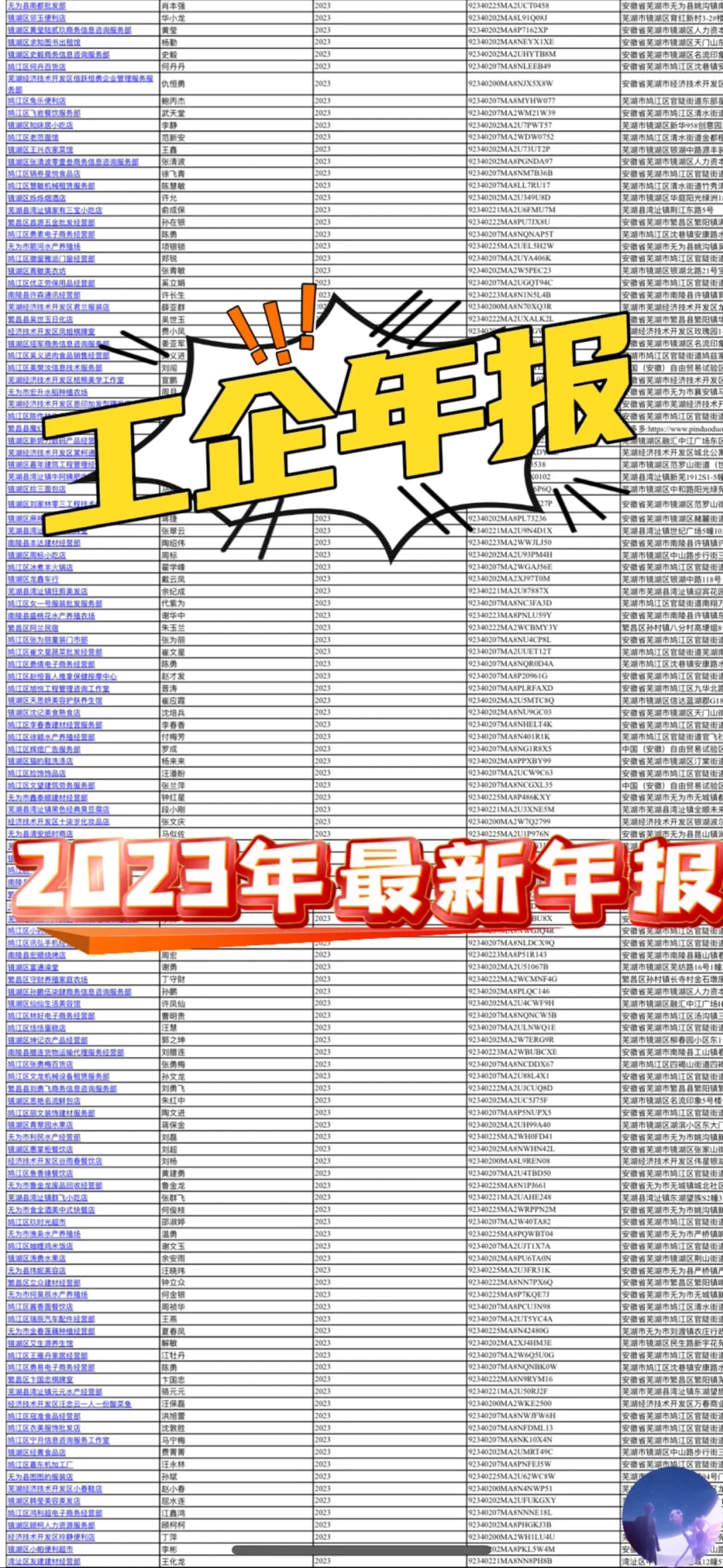 23年最新企业年报数据