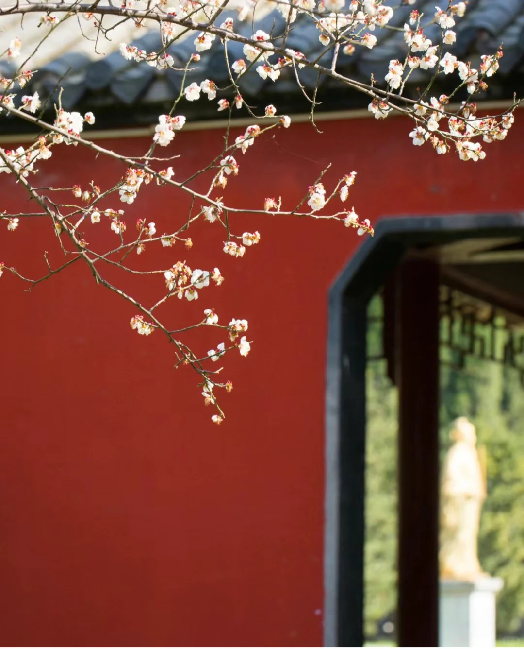 山西 好酒好菜准备好了！