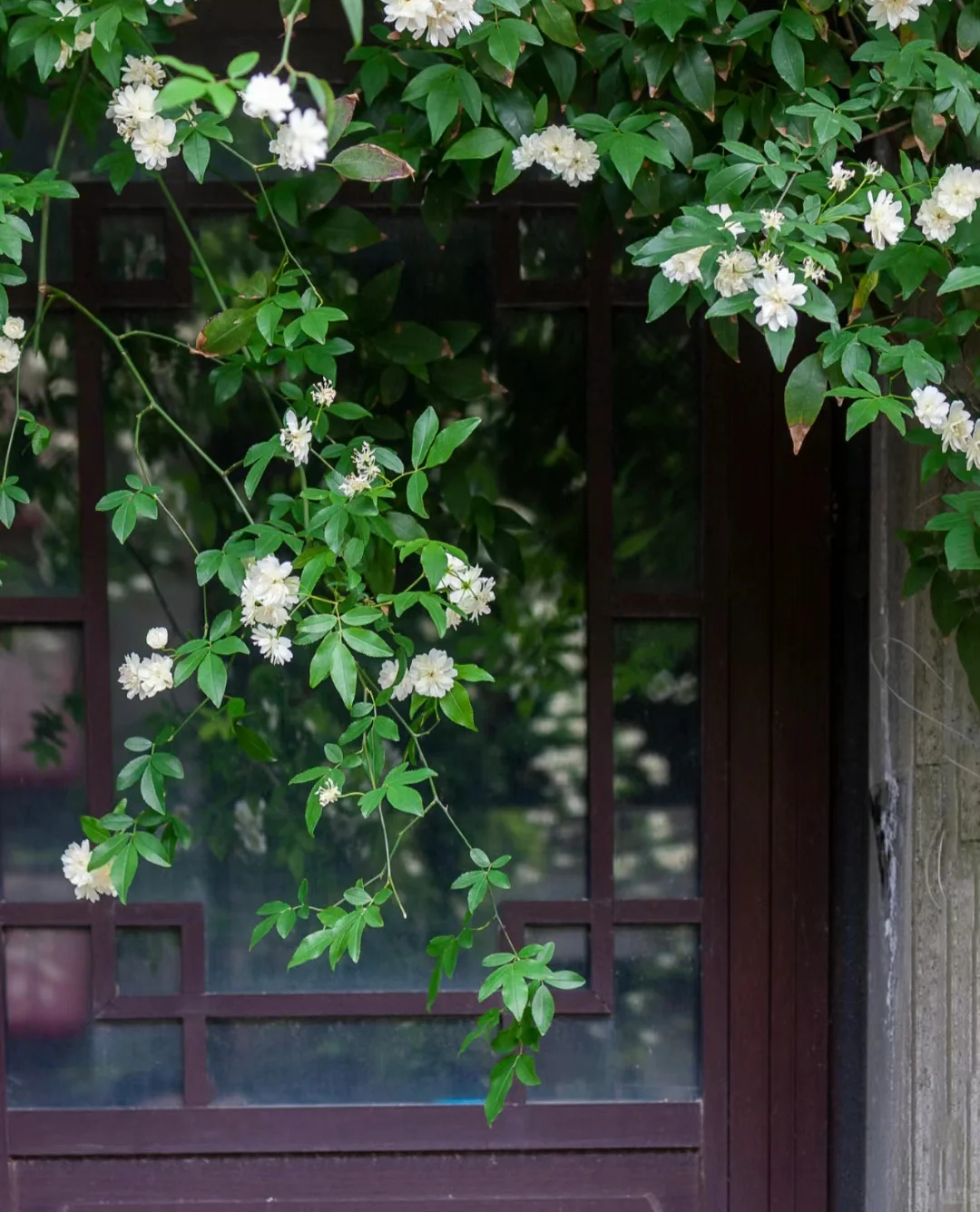 山西 好酒好菜准备好了！