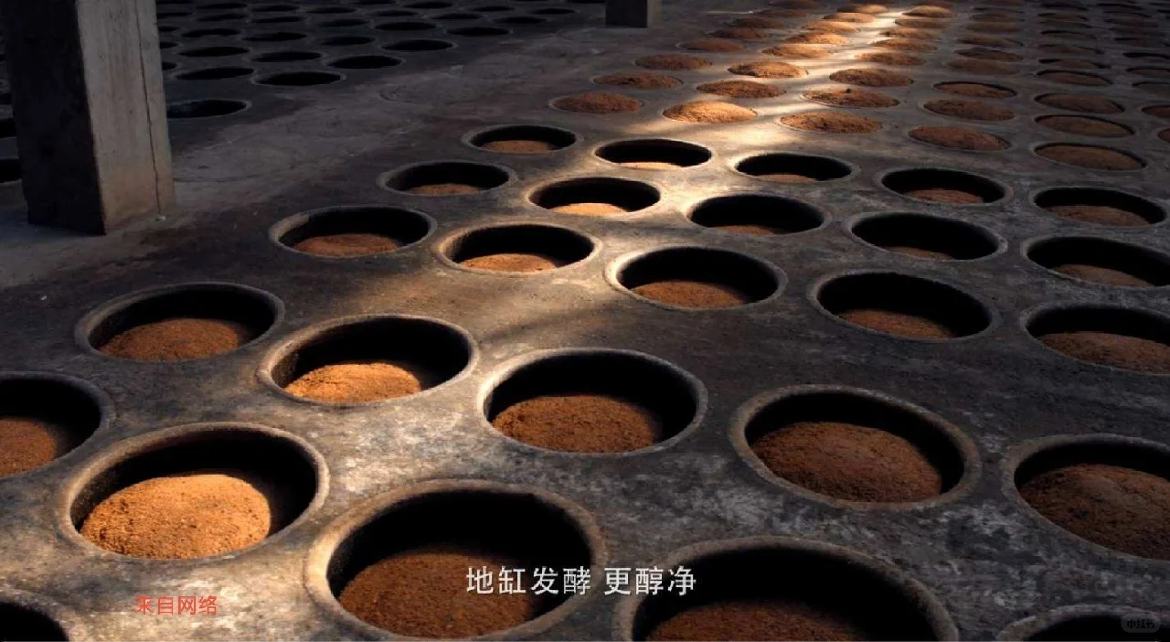 文游天下（444）地缸发酵博物馆