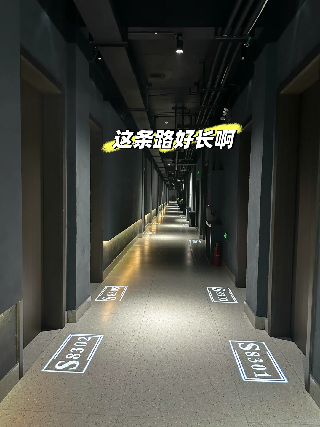 哇嘎嘎，汾酒集团杏花村镇到了