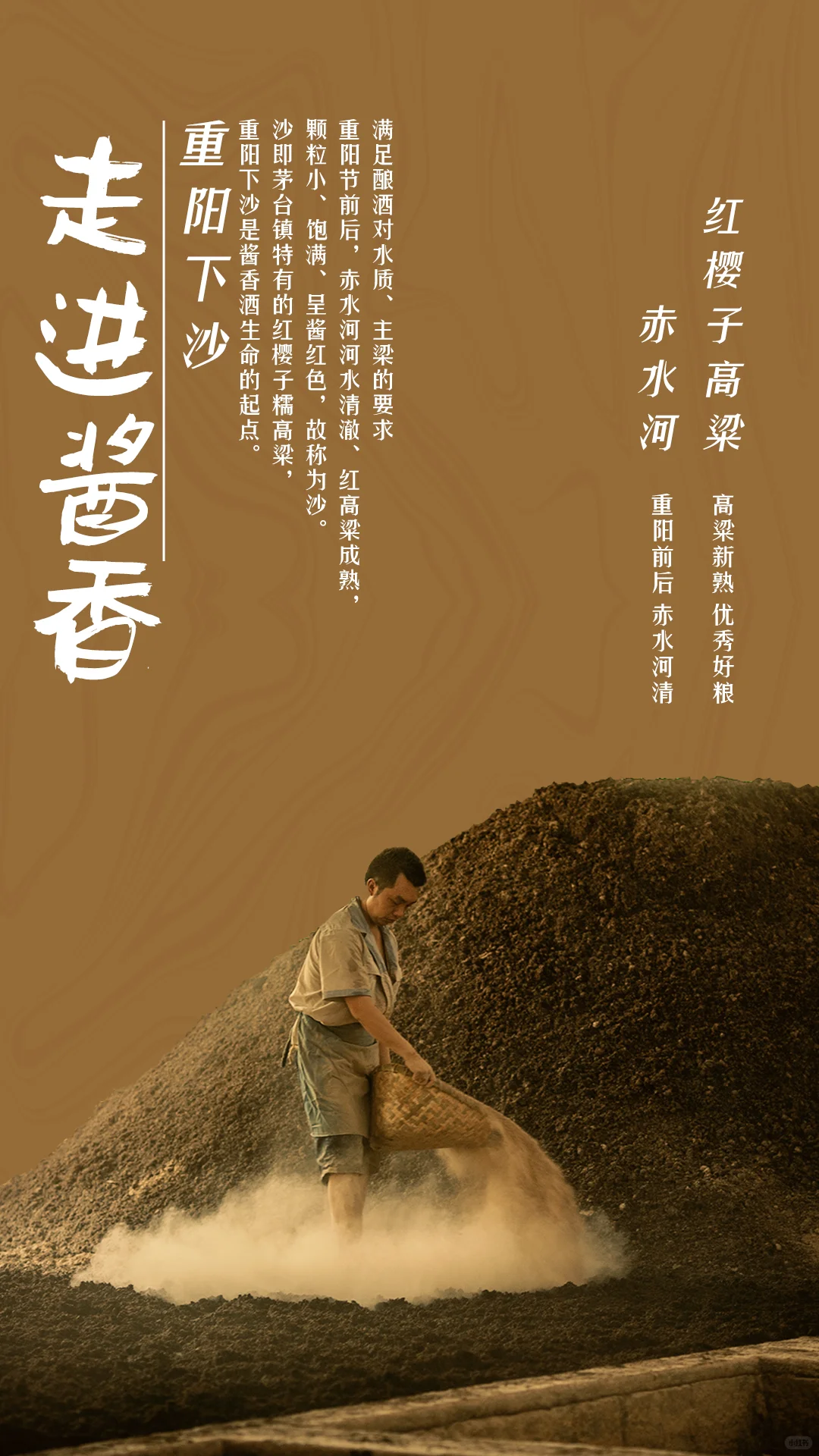 走进酱香——酱香酒的秘密